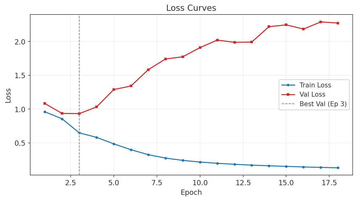 US30 Run 1 loss curves